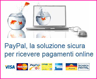 img_paypal